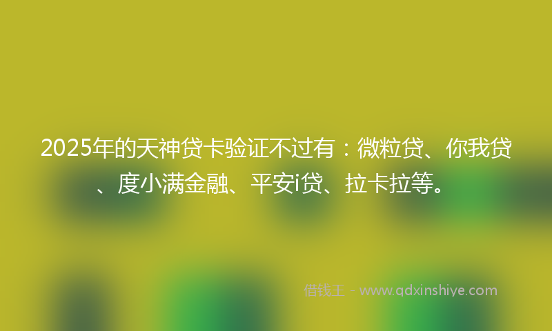 2025年的天神贷卡验证不过有：微粒贷、你我贷、度小满金融、平安i贷、拉卡拉等。