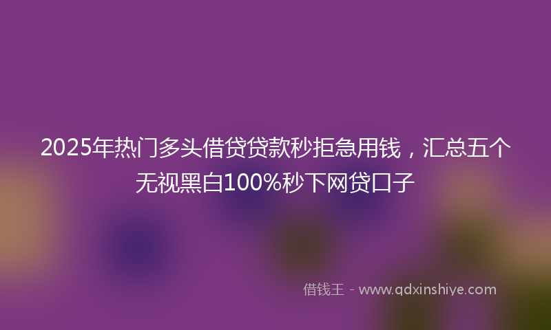 2025年热门多头借贷贷款秒拒急用钱，汇总五个无视黑白100%秒下网贷口子