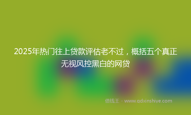 2025年热门往上贷款评估老不过，概括五个真正无视风控黑白的网贷