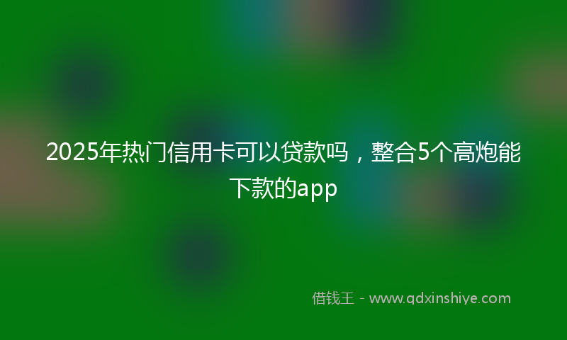 2025年热门信用卡可以贷款吗，整合5个高炮能下款的app