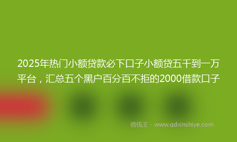 2025年热门小额贷款必下口子小额贷五千到一万平台，汇总五个黑户百分百不拒的2000借款口子