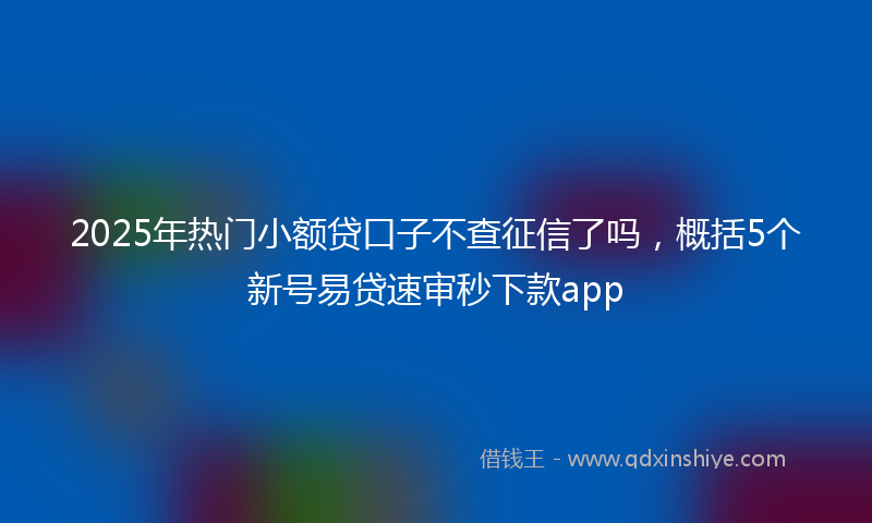 2025年热门小额贷口子不查征信了吗，概括5个新号易贷速审秒下款app