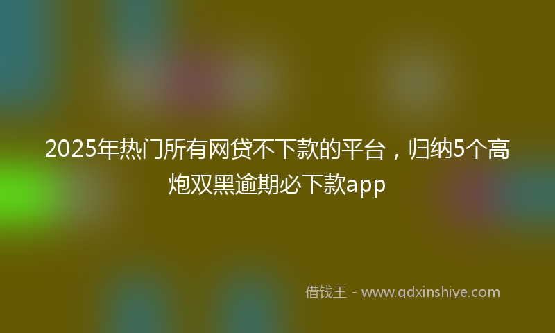2025年热门所有网贷不下款的平台，归纳5个高炮双黑逾期必下款app
