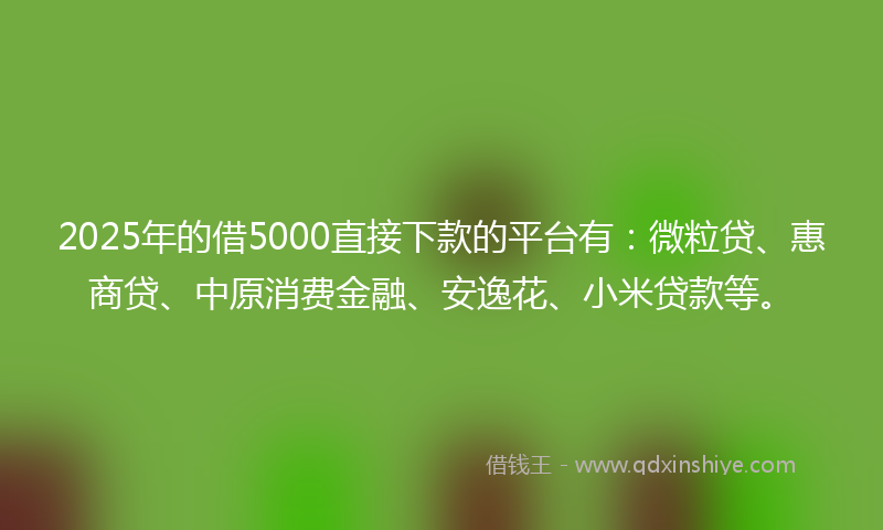 2025年的借5000直接下款的平台有：微粒贷、惠商贷、中原消费金融、安逸花、小米贷款等。