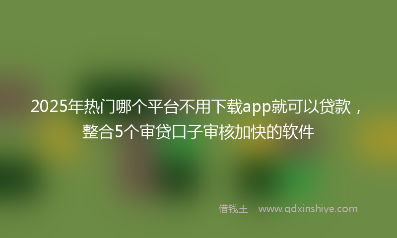 2025年热门哪个平台不用下载app就可以贷款，整合5个审贷口子审核加快的软件