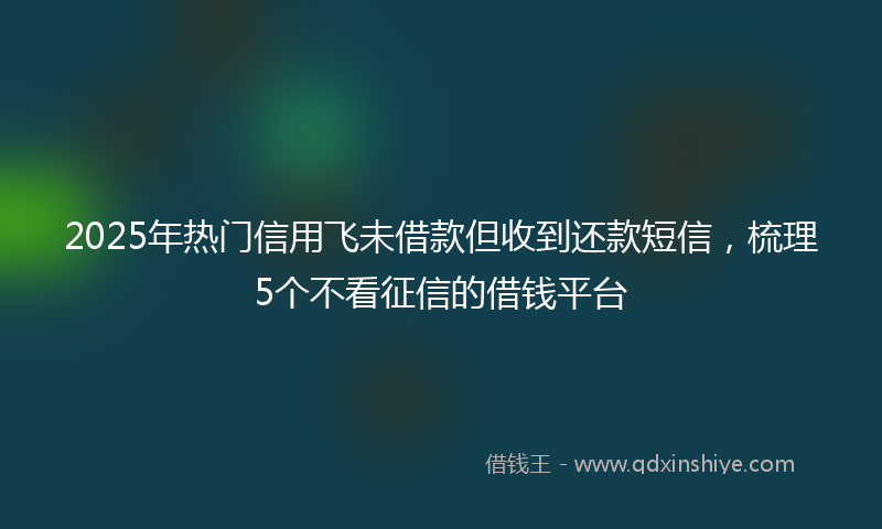 2025年热门信用飞未借款但收到还款短信，梳理5个不看征信的借钱平台