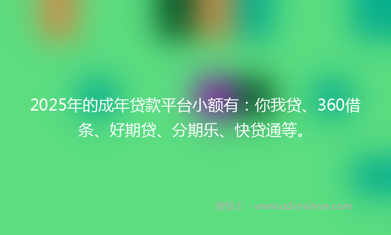 2025年的成年贷款平台小额有：你我贷、360借条、好期贷、分期乐、快贷通等。