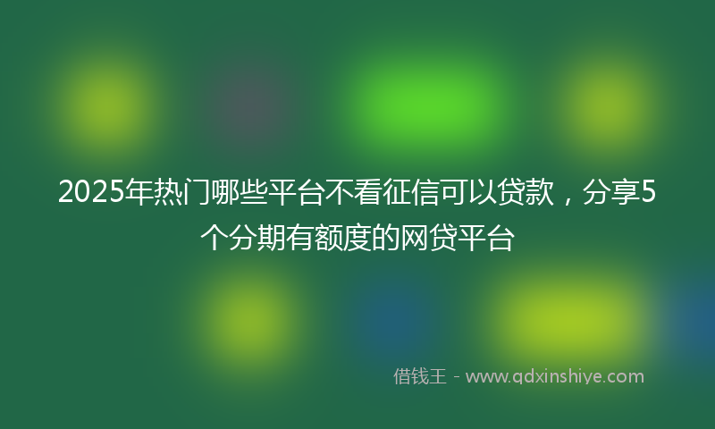 2025年热门哪些平台不看征信可以贷款，分享5个分期有额度的网贷平台