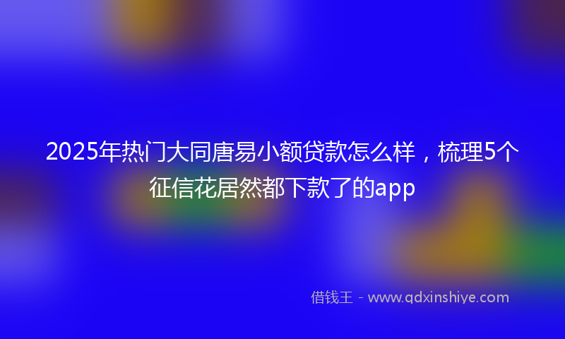 2025年热门大同唐易小额贷款怎么样，梳理5个征信花居然都下款了的app