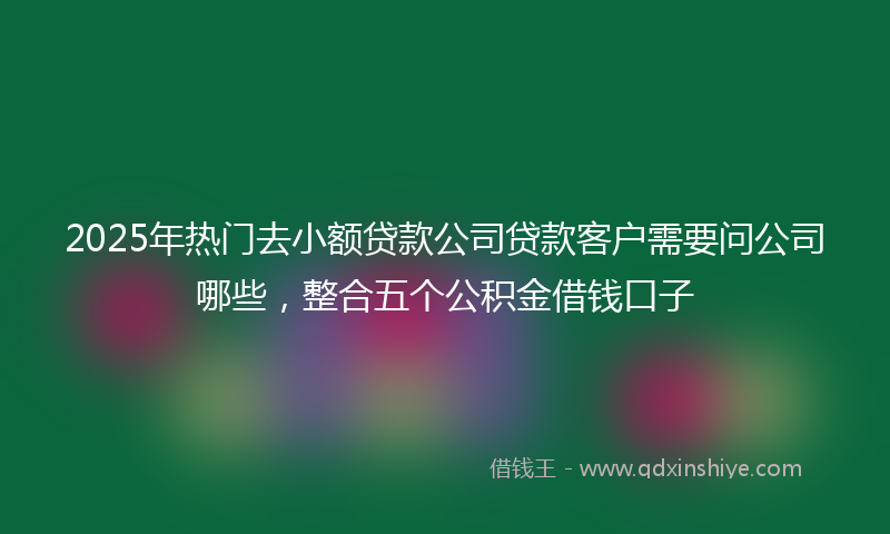 2025年热门去小额贷款公司贷款客户需要问公司哪些，整合五个公积金借钱口子