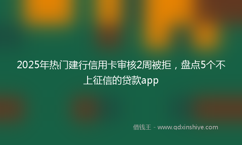 2025年热门建行信用卡审核2周被拒，盘点5个不上征信的贷款app