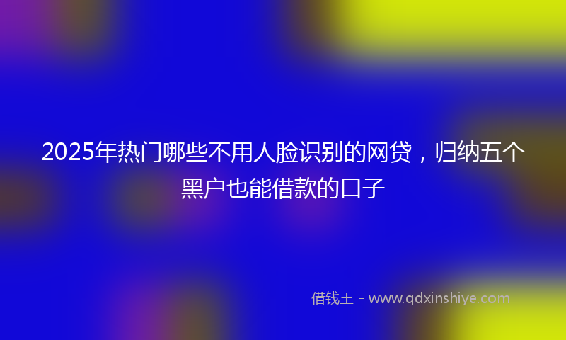 2025年热门哪些不用人脸识别的网贷，归纳五个黑户也能借款的口子