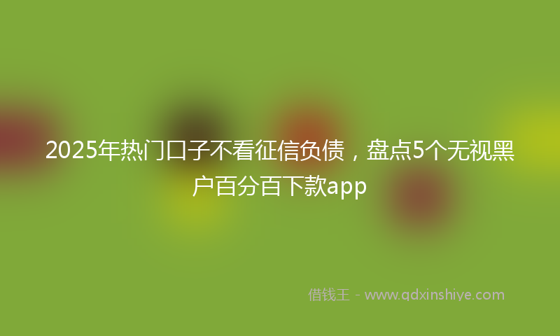 2025年热门口子不看征信负债，盘点5个无视黑户百分百下款app