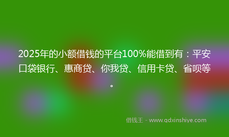 2025年的小额借钱的平台100%能借到有：平安口袋银行、惠商贷、你我贷、信用卡贷、省呗等。