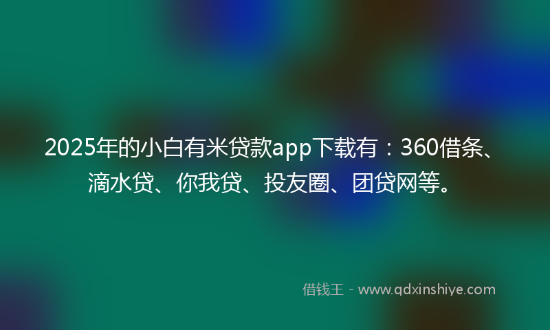 2025年的小白有米贷款app下载有：360借条、滴水贷、你我贷、投友圈、团贷网等。