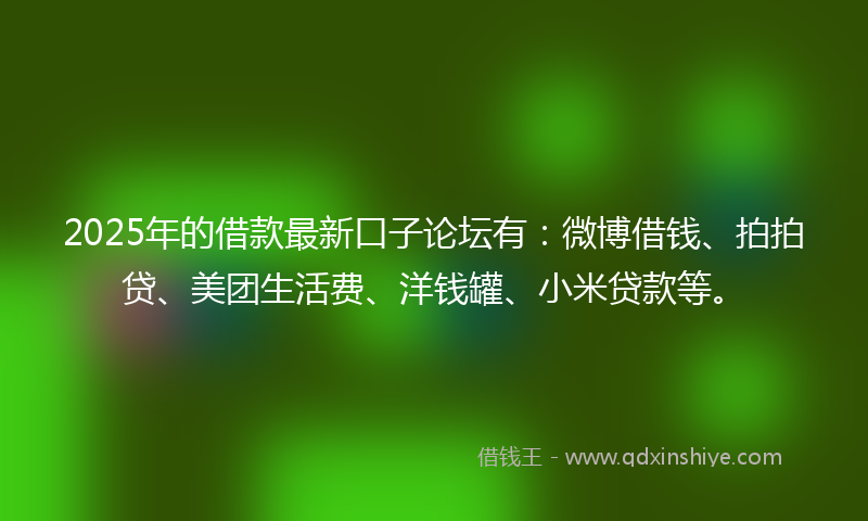 2025年的借款最新口子论坛有：微博借钱、拍拍贷、美团生活费、洋钱罐、小米贷款等。
