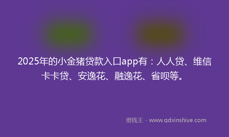 2025年的小金猪贷款入口app有：人人贷、维信卡卡贷、安逸花、融逸花、省呗等。