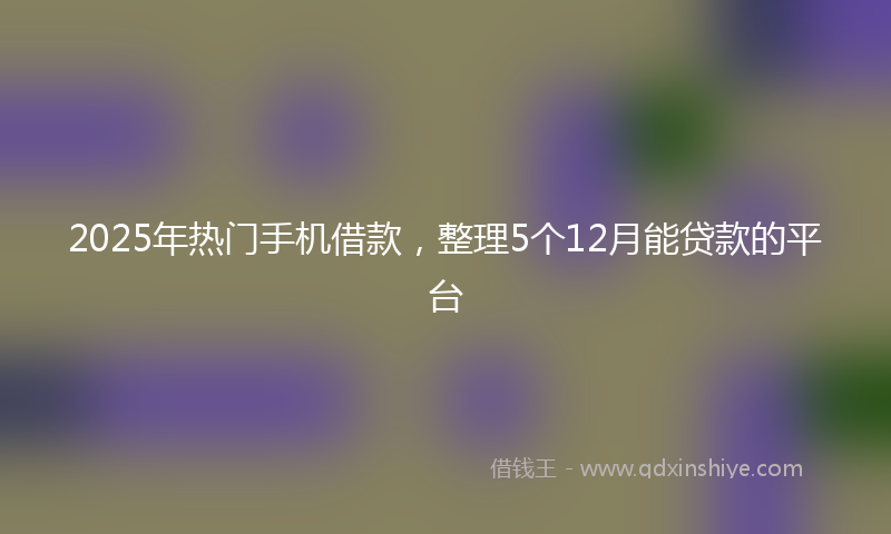 2025年热门手机借款，整理5个12月能贷款的平台