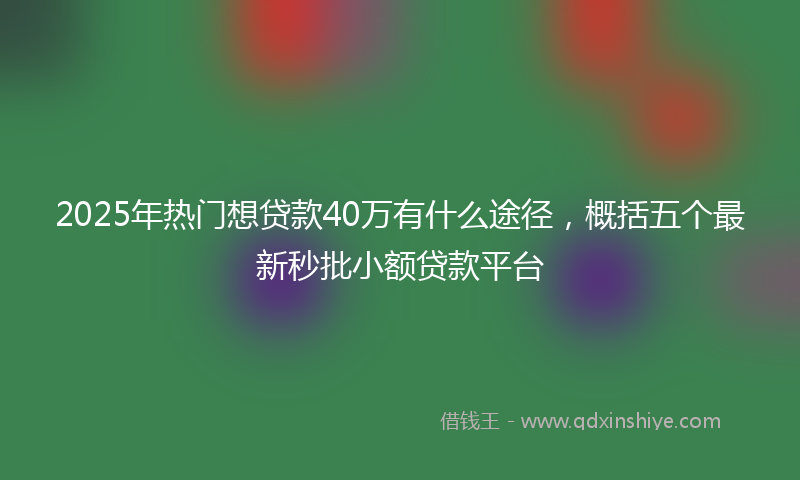 2025年热门想贷款40万有什么途径，概括五个最新秒批小额贷款平台