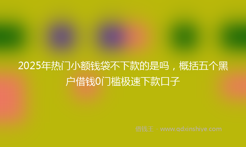 2025年热门小额钱袋不下款的是吗，概括五个黑户借钱0门槛极速下款口子