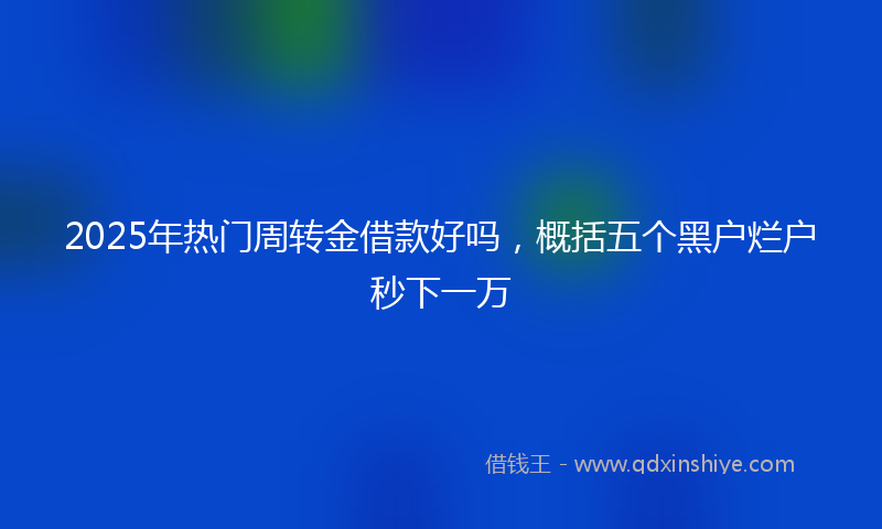 2025年热门周转金借款好吗，概括五个黑户烂户秒下一万