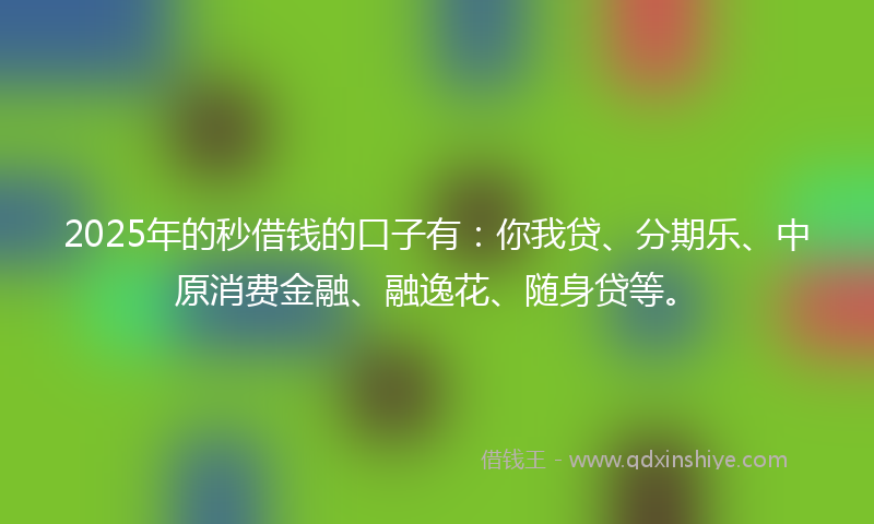 2025年的秒借钱的口子有：你我贷、分期乐、中原消费金融、融逸花、随身贷等。