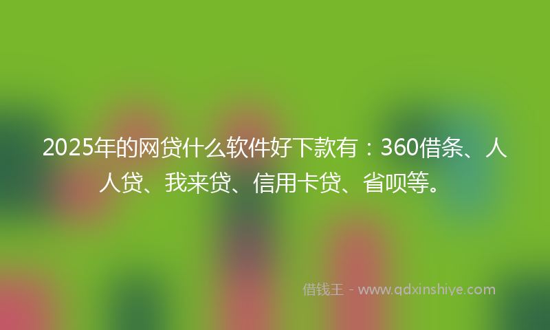 2025年的网贷什么软件好下款有：360借条、人人贷、我来贷、信用卡贷、省呗等。