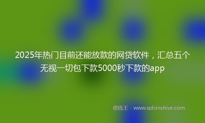 2025年热门目前还能放款的网贷软件，汇总五个无视一切包下款5000秒下款的app