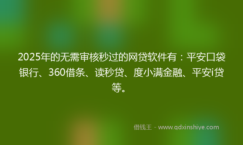 2025年的无需审核秒过的网贷软件有：平安口袋银行、360借条、读秒贷、度小满金融、平安i贷等。