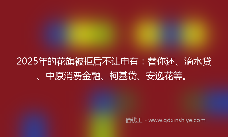 2025年的花旗被拒后不让申有：替你还、滴水贷、中原消费金融、柯基贷、安逸花等。