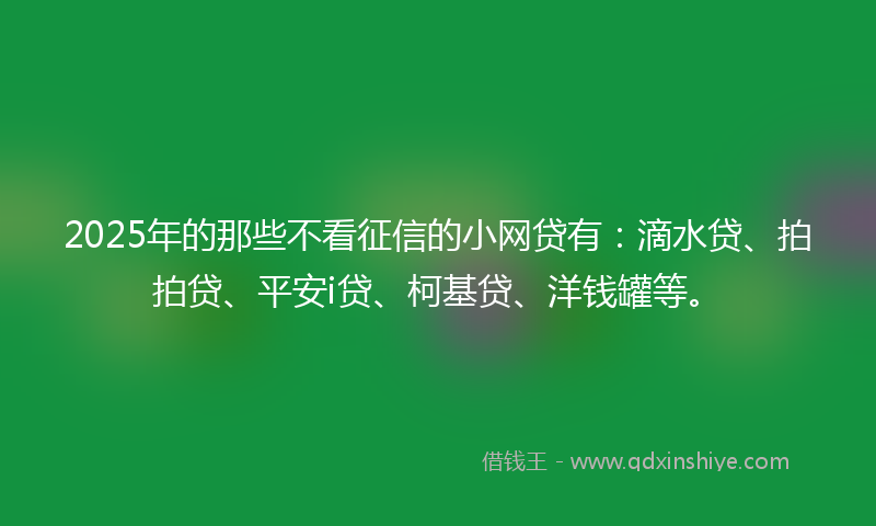 2025年的那些不看征信的小网贷有：滴水贷、拍拍贷、平安i贷、柯基贷、洋钱罐等。