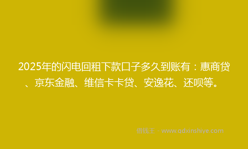 2025年的闪电回租下款口子多久到账有：惠商贷、京东金融、维信卡卡贷、安逸花、还呗等。