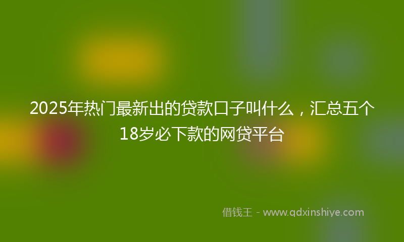 2025年热门最新出的贷款口子叫什么，汇总五个18岁必下款的网贷平台