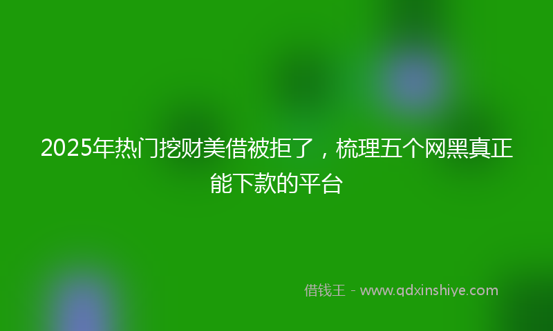 2025年热门挖财美借被拒了，梳理五个网黑真正能下款的平台