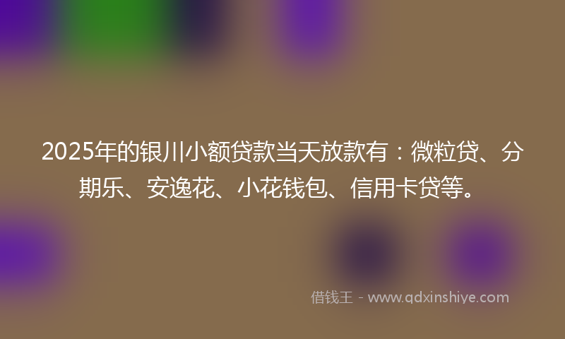 2025年的银川小额贷款当天放款有：微粒贷、分期乐、安逸花、小花钱包、信用卡贷等。