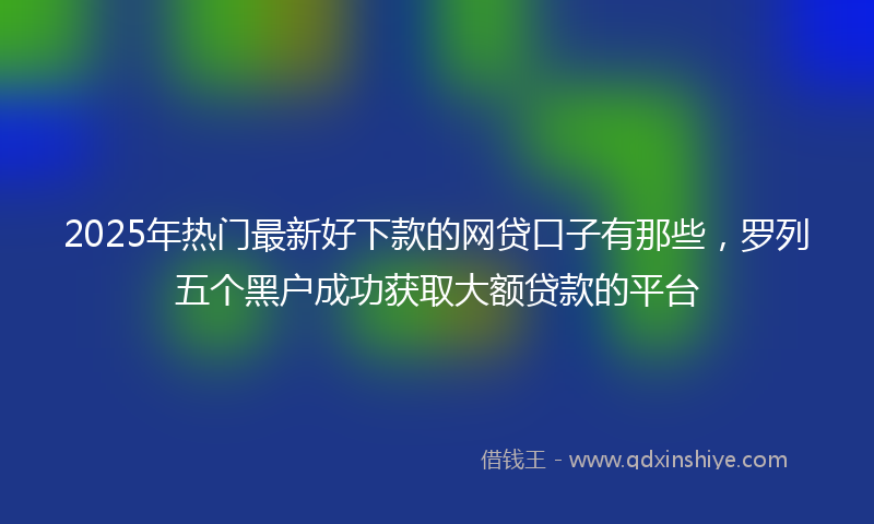 2025年热门最新好下款的网贷口子有那些，罗列五个黑户成功获取大额贷款的平台