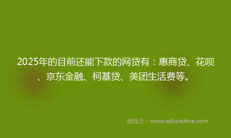 2025年的目前还能下款的网贷有：惠商贷、花呗、京东金融、柯基贷、美团生活费等。