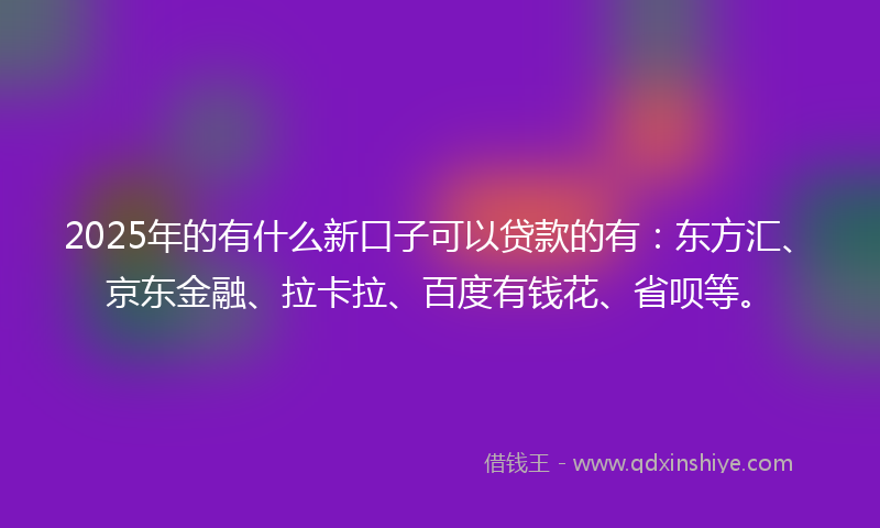 2025年的有什么新口子可以贷款的有：东方汇、京东金融、拉卡拉、百度有钱花、省呗等。