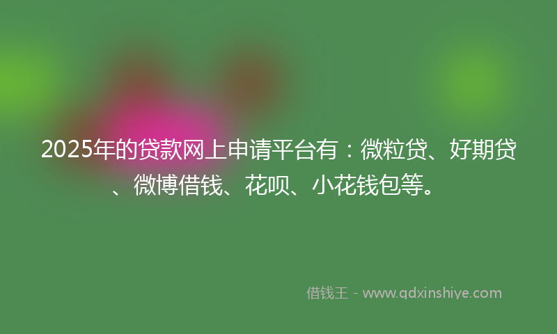 2025年的贷款网上申请平台有：微粒贷、好期贷、微博借钱、花呗、小花钱包等。