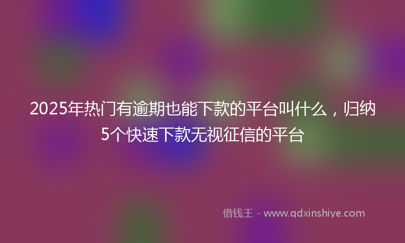 2025年热门有逾期也能下款的平台叫什么，归纳5个快速下款无视征信的平台