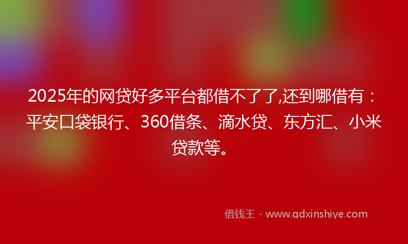 2025年的网贷好多平台都借不了了,还到哪借有：平安口袋银行、360借条、滴水贷、东方汇、小米贷款等。