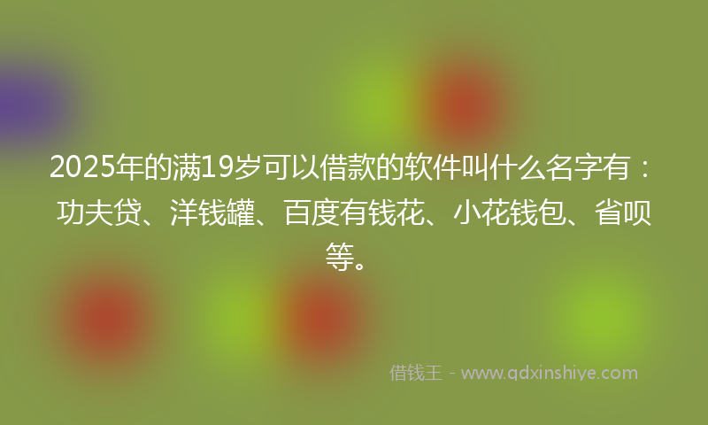 2025年的满19岁可以借款的软件叫什么名字有：功夫贷、洋钱罐、百度有钱花、小花钱包、省呗等。