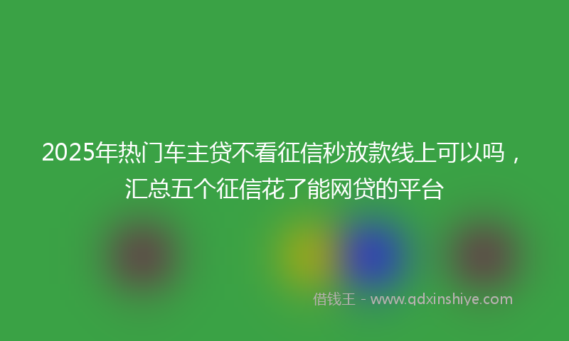 2025年热门车主贷不看征信秒放款线上可以吗，汇总五个征信花了能网贷的平台