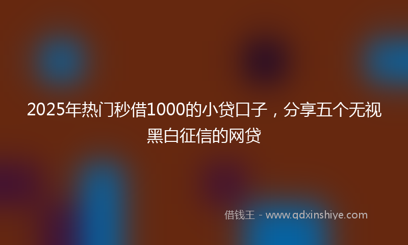 2025年热门秒借1000的小贷口子，分享五个无视黑白征信的网贷