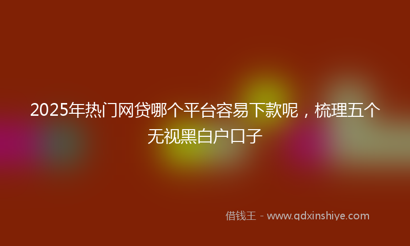 2025年热门网贷哪个平台容易下款呢，梳理五个无视黑白户口子