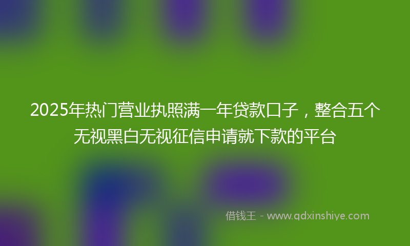 2025年热门营业执照满一年贷款口子，整合五个无视黑白无视征信申请就下款的平台