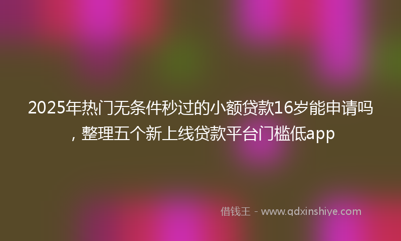 2025年热门无条件秒过的小额贷款16岁能申请吗，整理五个新上线贷款平台门槛低app