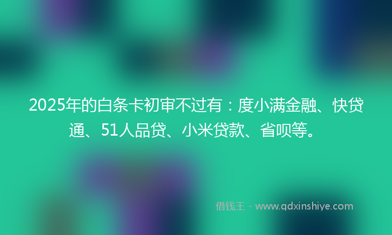 2025年的白条卡初审不过有：度小满金融、快贷通、51人品贷、小米贷款、省呗等。
