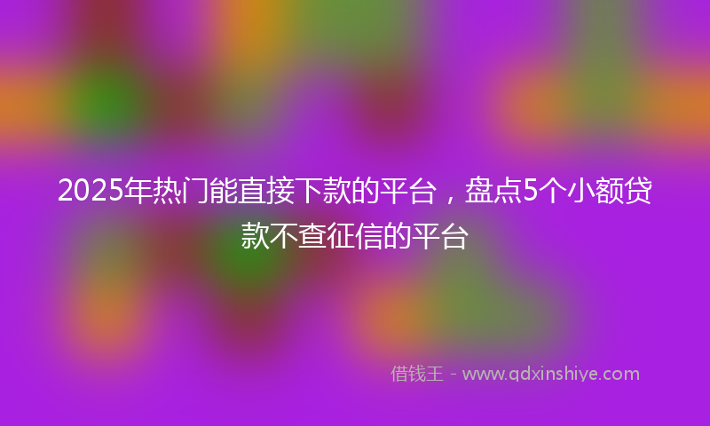 2025年热门能直接下款的平台，盘点5个小额贷款不查征信的平台