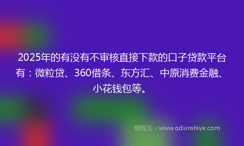 2025年的有没有不审核直接下款的口子贷款平台有：微粒贷、360借条、东方汇、中原消费金融、小花钱包等。